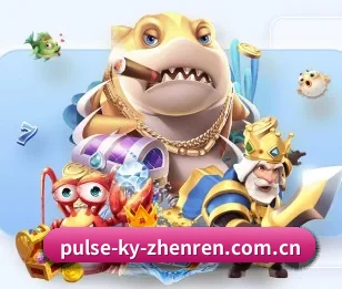 开云真人的故事 - 体育资讯内容服务