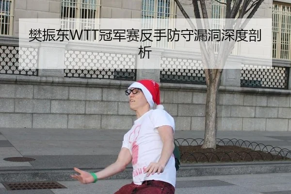 樊振东WTT冠军赛反手防守漏洞深度剖析