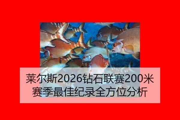 莱尔斯2026钻石联赛200米赛季最佳纪录全方位分析
