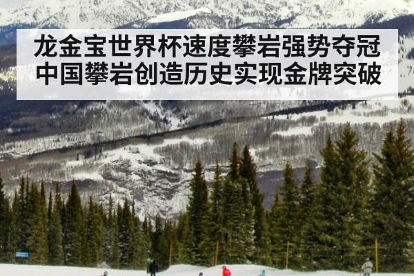 龙金宝世界杯速度攀岩强势夺冠 中国攀岩创造历史实现金牌突破
