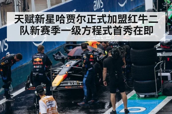 F1 pit stop team