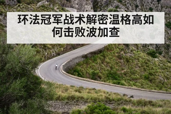 环法冠军战术解密温格高如何击败波加查